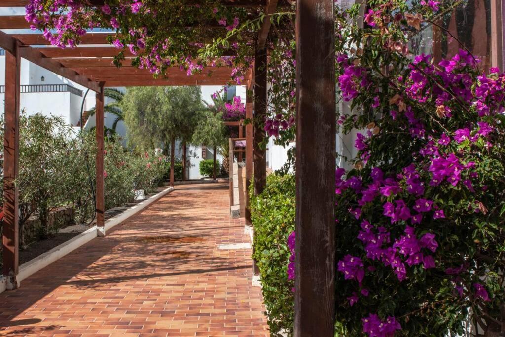 The Colors House Apartment Costa Teguise Exterior photo